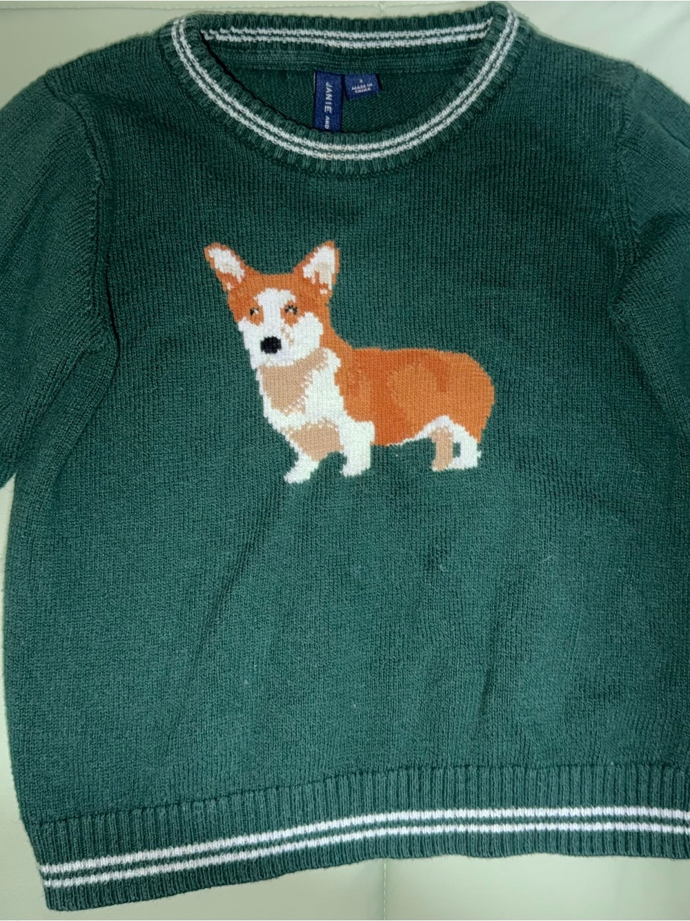 Janie and Jack Deep Green Crewneck Sweater with White Trim